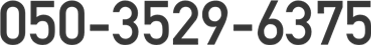 050-3529-6375